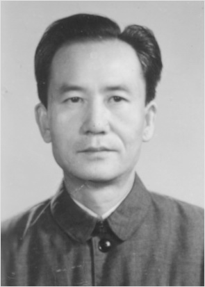 段更新 