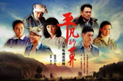 40年，熒屏映現家國情懷