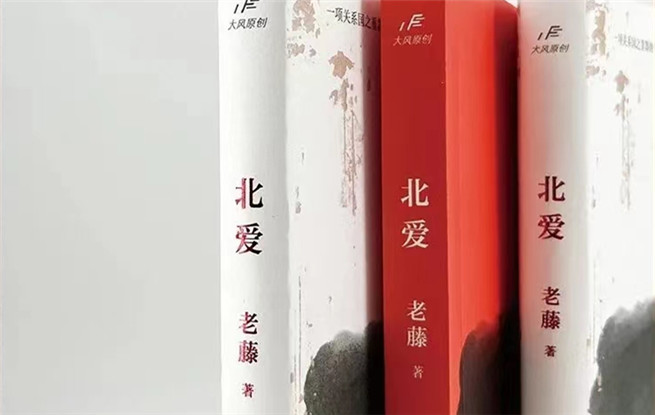 “行進的風(fēng)景”第十七期：老藤《北愛》