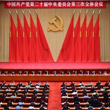 學習貫徹黨的二十屆三中全會精神