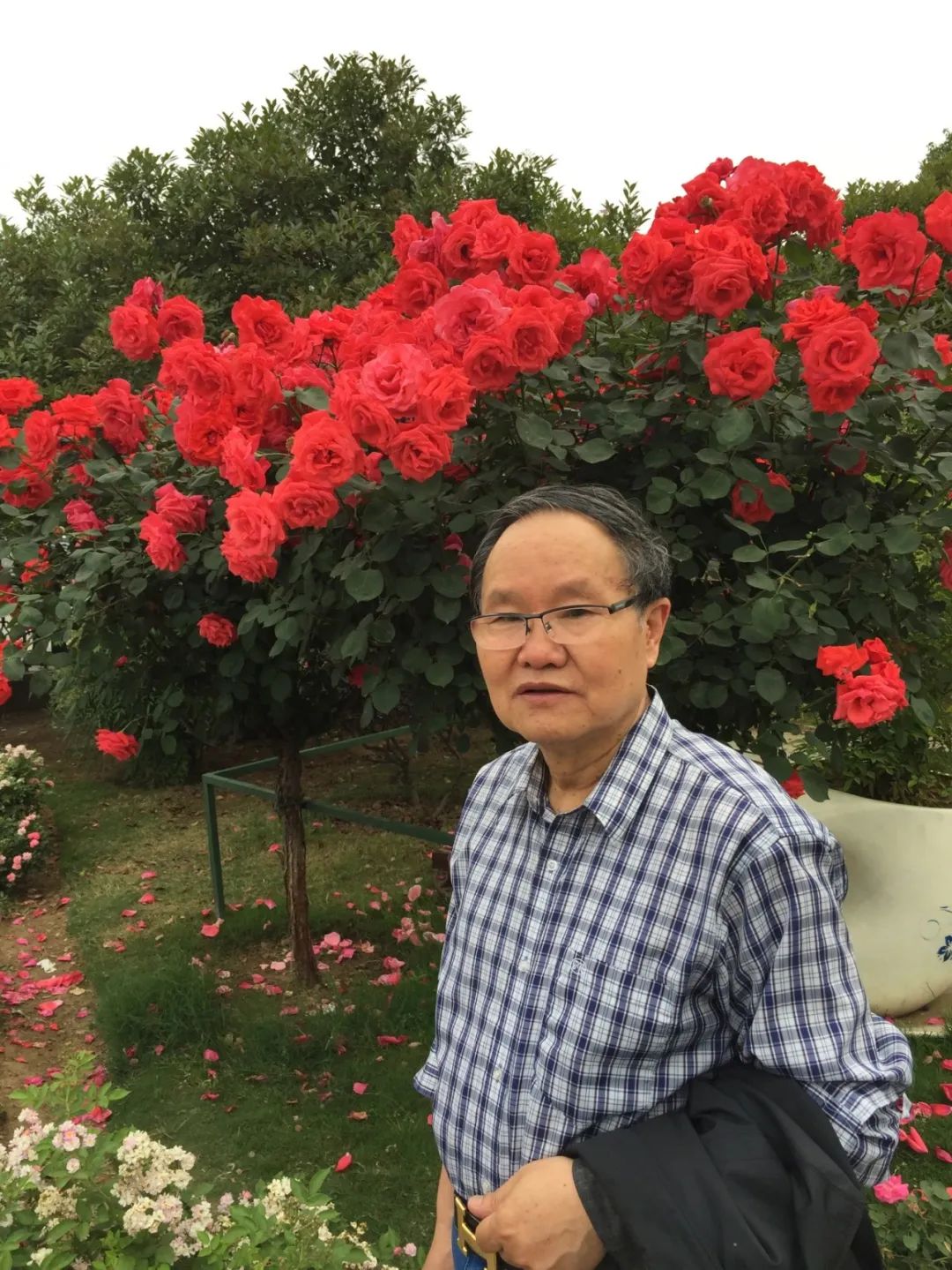 【劉慶邦，1951年生于河南沈丘。著有長篇小說《斷層》《遠方詩意》《平原上的歌謠》《紅煤》《遍地月光》《黑白男女》《女工繪》《花燈調》等十四部，中短篇小說集、散文集《走窯漢》《梅妞放羊》《遍地白花》《響器》《黃花繡》《到處有道》等七十余部?！秳c邦短篇小說編年》十二卷。短篇小說《鞋》獲第二屆魯迅文學獎。中篇小說《神木》《啞炮》獲第二屆和第四屆老舍文學獎。中篇小說《到城里去》和長篇小說《紅煤》分別獲第四屆、第五屆北京市文學藝術獎。長篇小說《遍地月光》獲第八屆茅盾文學獎提名。長篇小說《黑白男女》獲首屆吳承恩長篇小說獎。長篇小說《家長》獲第二屆南丁文學獎。長篇散文《陪護母親日記》獲第二屆孫犁散文獎。曾獲北京市首屆德藝雙馨獎，首屆林斤瀾杰出短篇小說作家獎，第十屆冰心散文獎。獲《北京文學》獎十五次；《十月》文學獎七次；《小說月報》百花獎八次等。根據其小說《神木》改編的電影《盲井》獲第53屆柏林電影藝術節銀熊獎。1990年加入中國作家協會，為中國煤礦作家協會名譽主席，北京作家協會原副主席，一級作家，北京市第十、第十一、第十二屆政協委員，中國作家協會第五、第六、第七、第八、第九屆全國委員會委員?！?></p>
<p style=