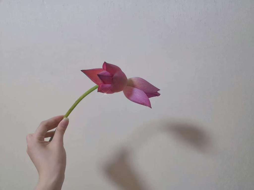 https://imgpai.thepaper.cn/newpai/image/1756356853588_TKrSFm_1756365916424.jpg?x-oss-process=image/resize,w_1024