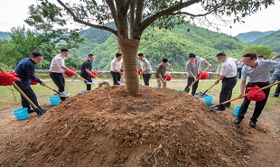 栽種文學之樹